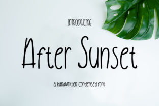 After Sunset Typeface Review for Digital Branding