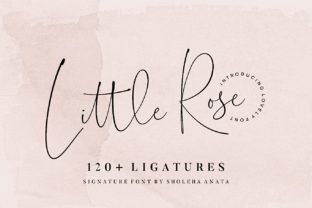 Little Rose: A Contemporary Script Font for Editorial Design